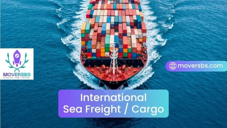 Houston to Rotterdam International Movers: Sea Freight and Door Delivery